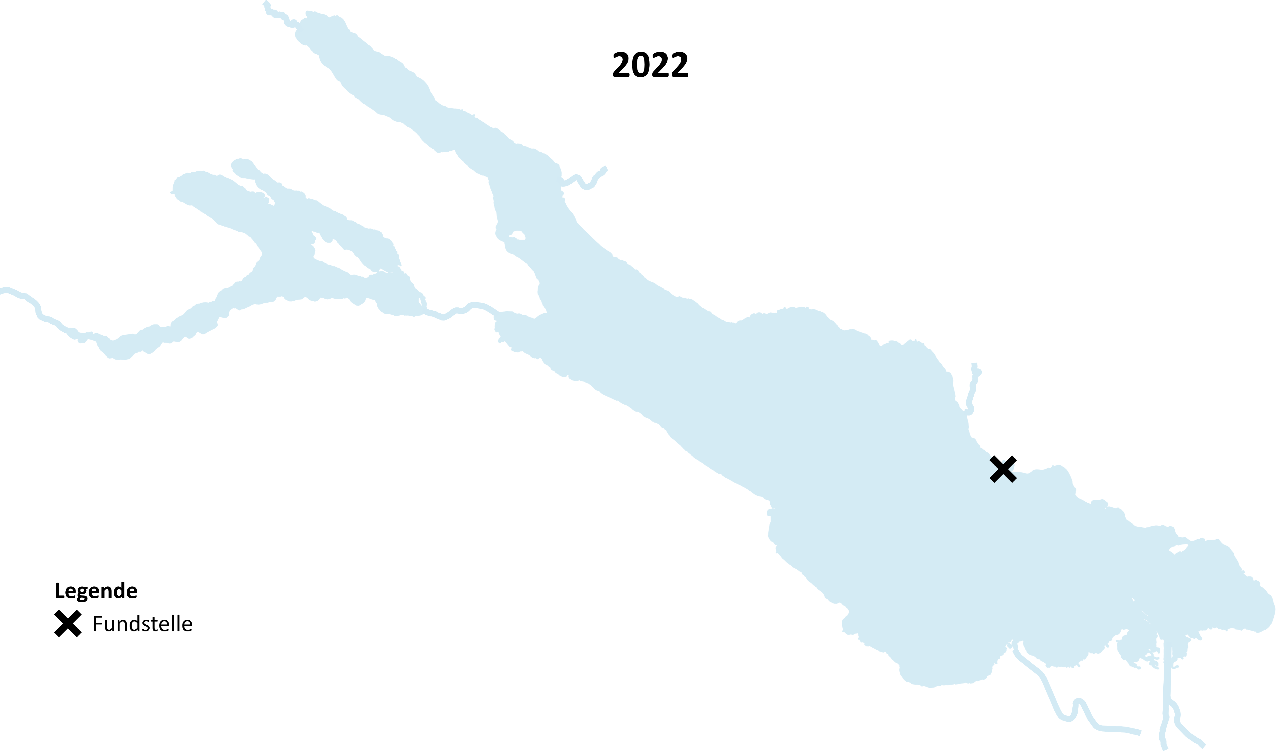 Karte des Bodensees mit Fundstelle von Echinogammarus ischnus in Langenargen im Jahr 2022